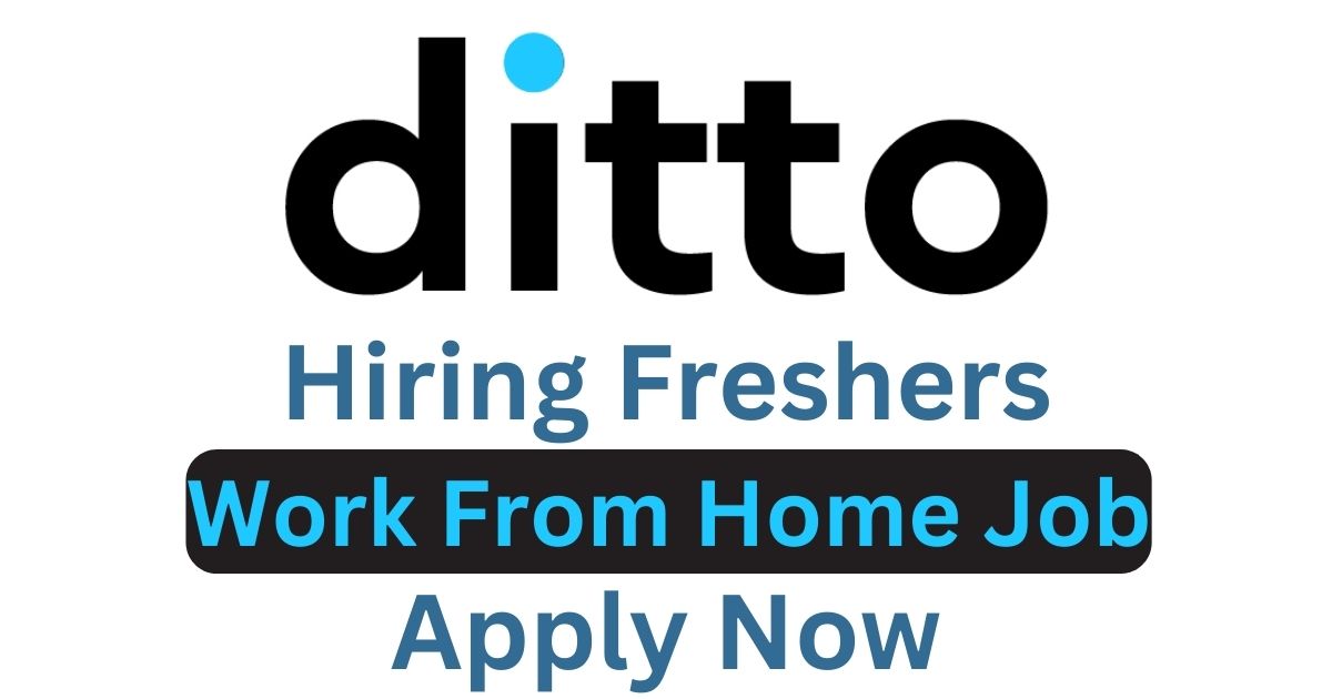 Ditto Hiring For Work From Home