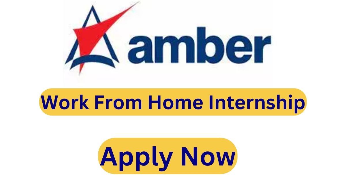 Amber Customer Support WFH Internship