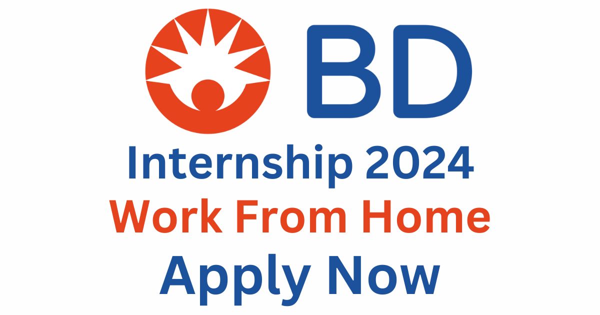 BD WFH Internship 2024