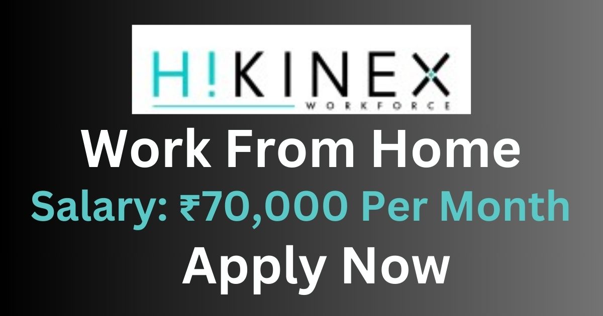 Hikinex Work From Home For Executive